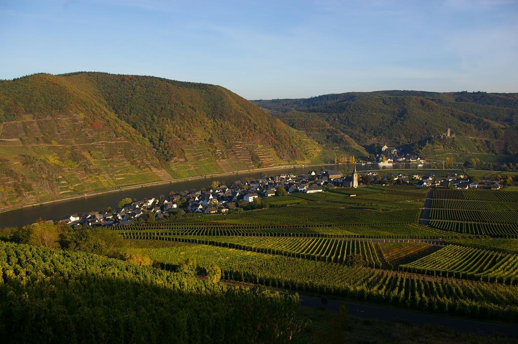 Ferien Weingut Schneider Hotel Ellenz-Poltersdorf Exterior photo